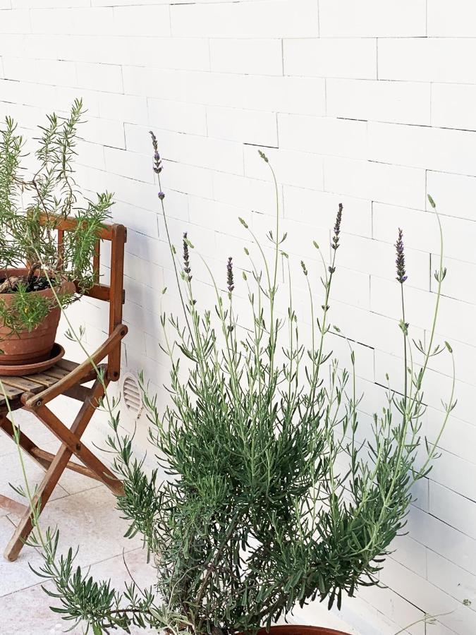 Tap Apartments - In Independent House With Private Garden Alghero Zewnętrze zdjęcie