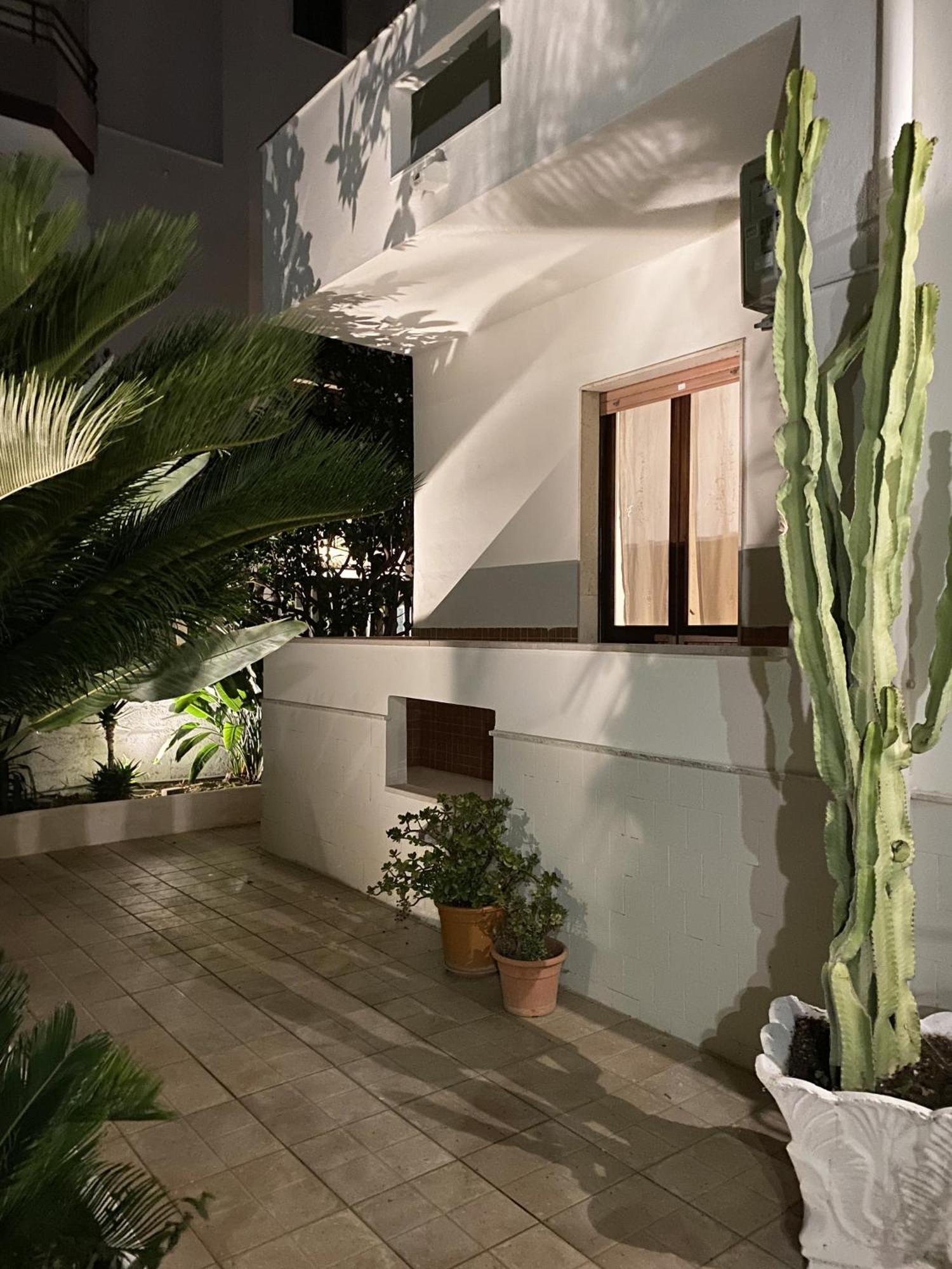 Tap Apartments - In Independent House With Private Garden Alghero Zewnętrze zdjęcie