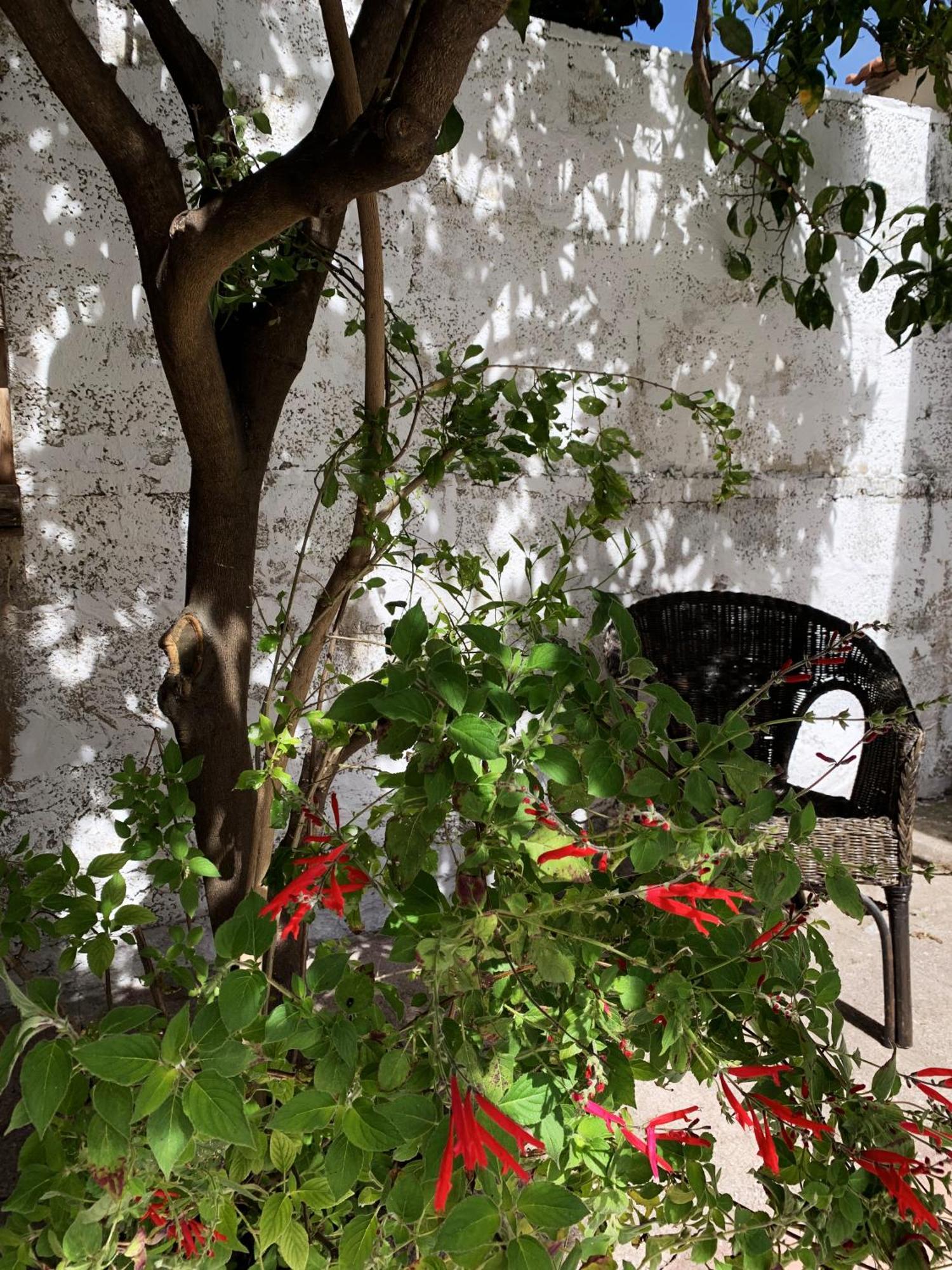 Tap Apartments - In Independent House With Private Garden Alghero Zewnętrze zdjęcie