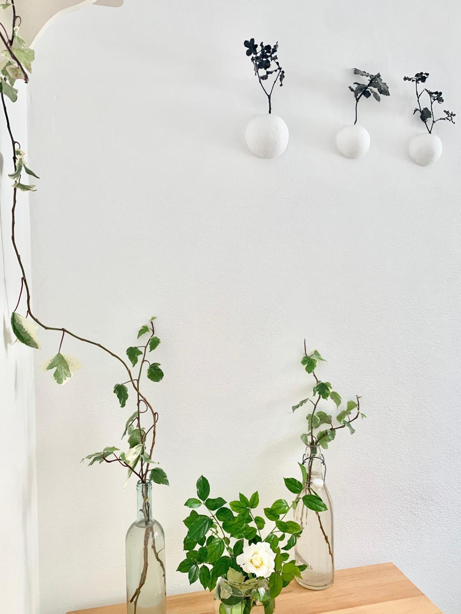 Tap Apartments - In Independent House With Private Garden Alghero Zewnętrze zdjęcie