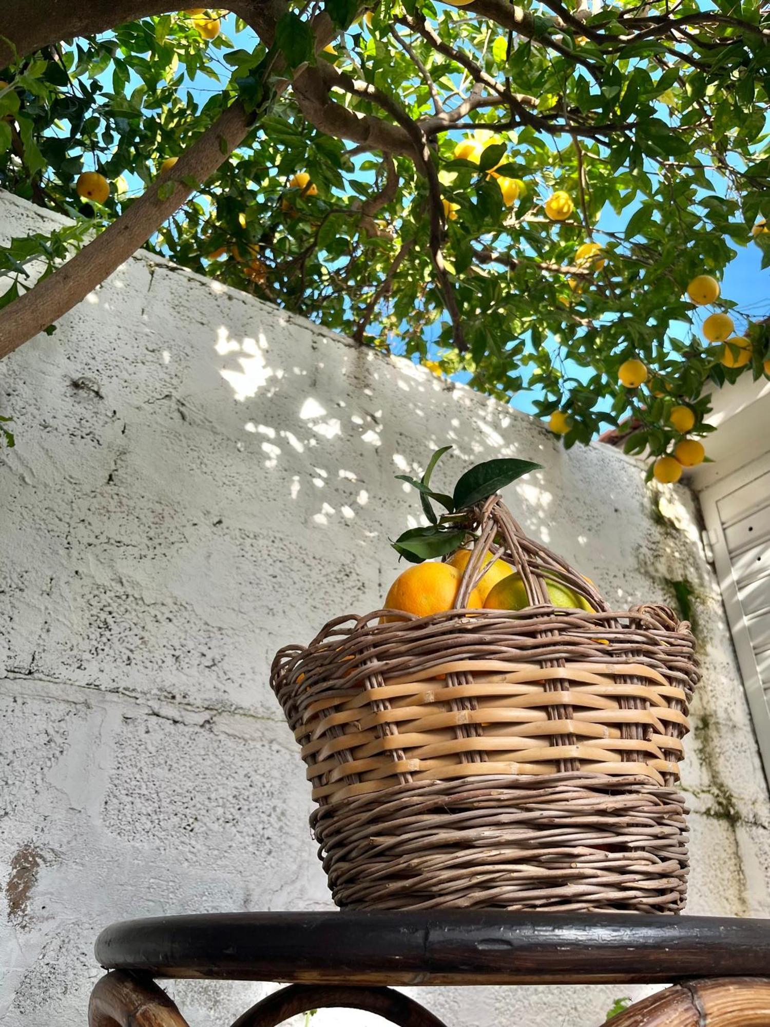 Tap Apartments - In Independent House With Private Garden Alghero Zewnętrze zdjęcie
